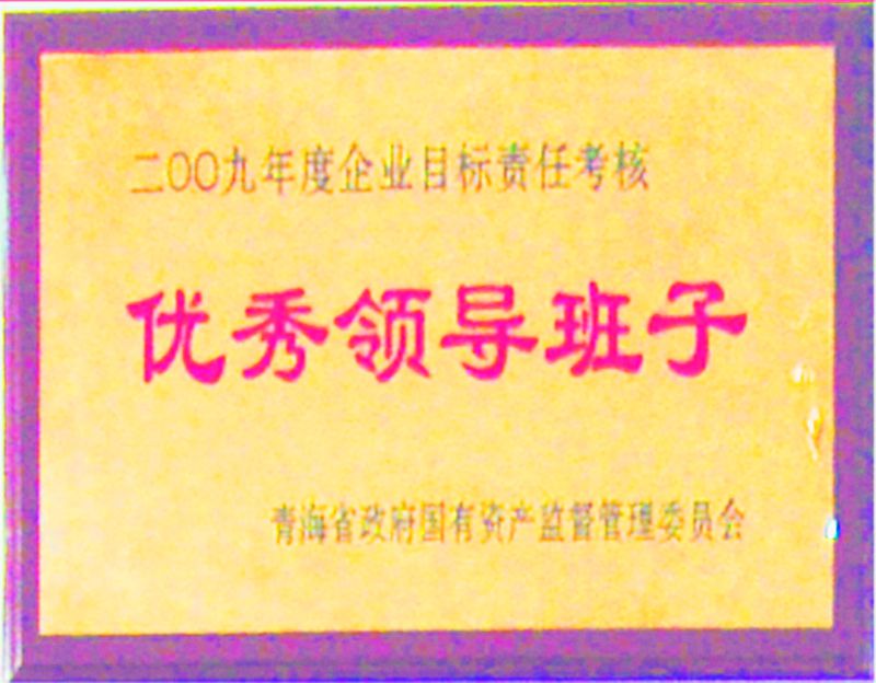 2009年度優(yōu)秀領導班子